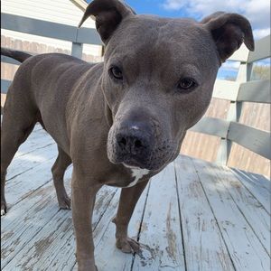 Meet your Posher, Leona